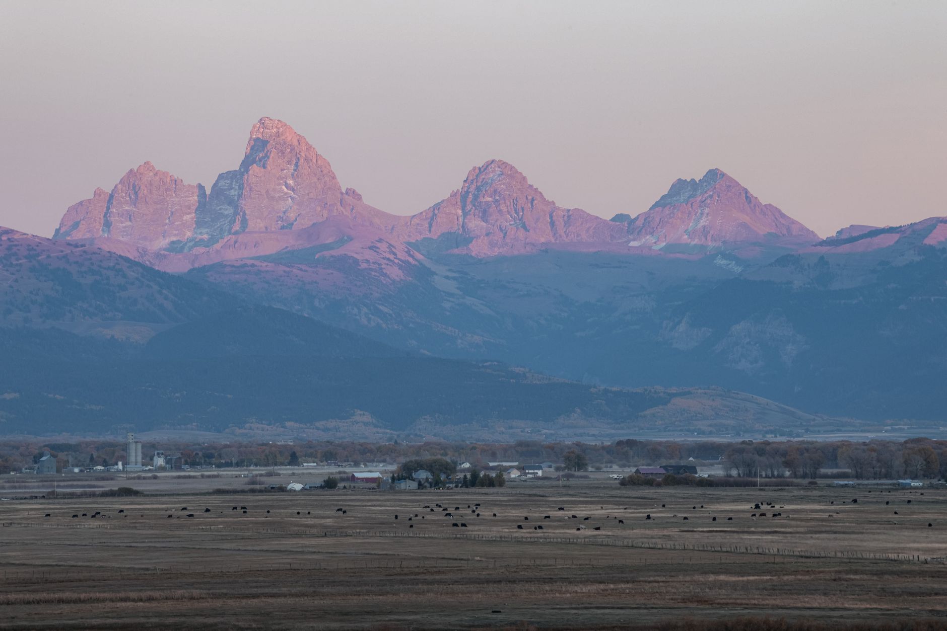 Can Wyoming Lead the AI Revolution? A Deep Dive | The Pivot News
