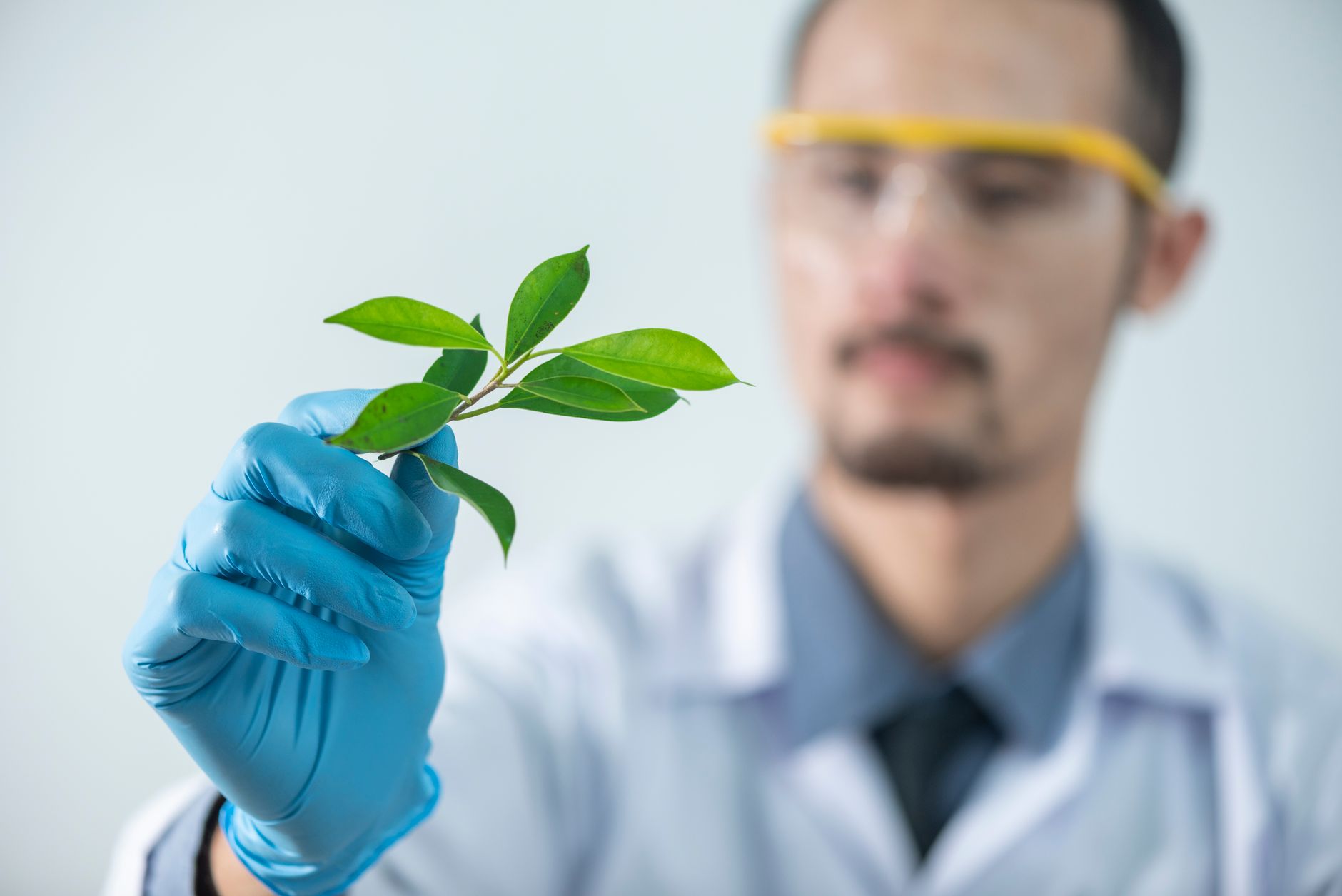 Thailand's Health Pivot: Turning Herbs into Medicine | The Pivot News