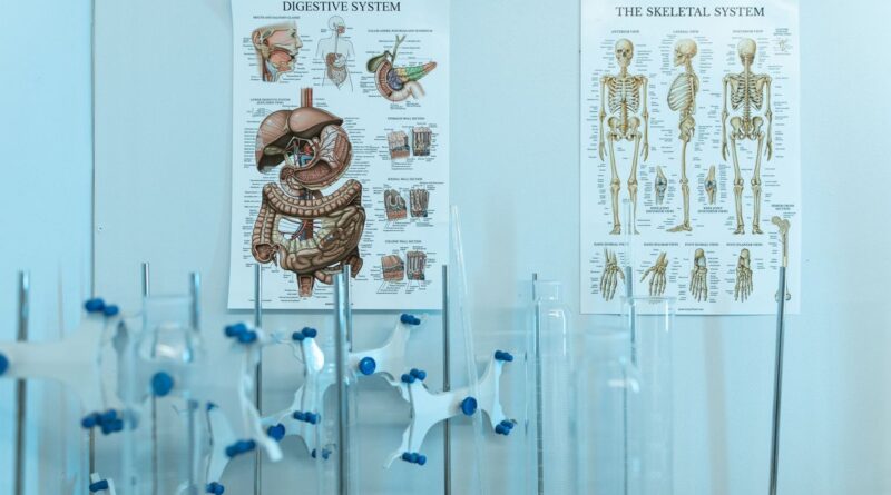 Healthcare Futurism: Navigating Tomorrow's Medical Landscape in 2026