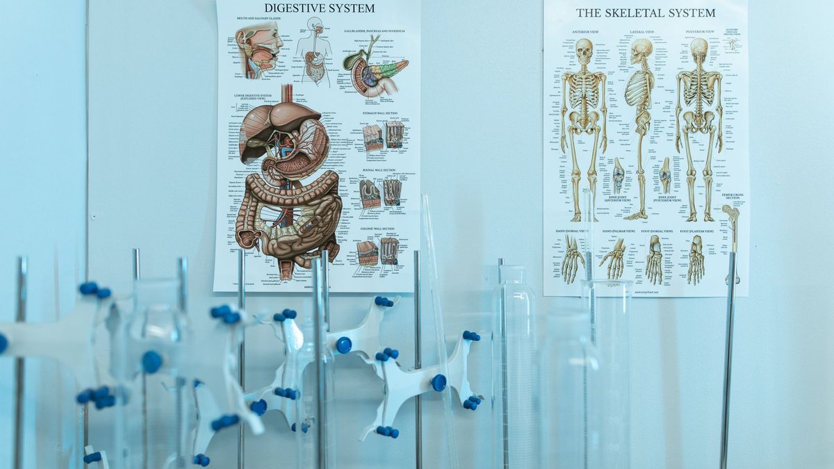 Healthcare Futurism: Navigating Tomorrow's Medical Landscape in 2026