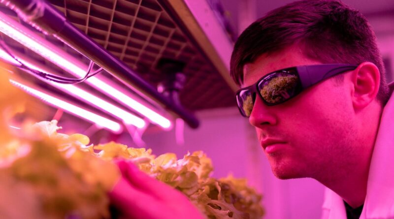 Clean Tech Innovation: Retrospective on the Business-Led Wave of 2024