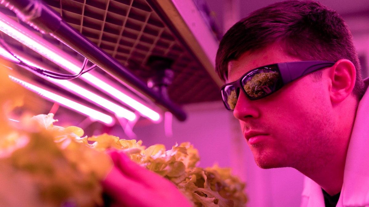 Clean Tech Innovation: Retrospective on the Business-Led Wave of 2024