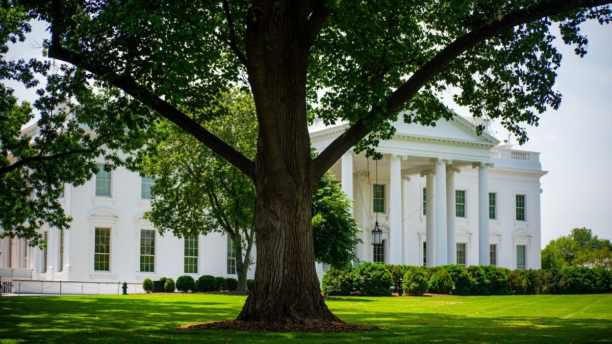 Health Policy: Trump's Executive Order Revisited in 2026