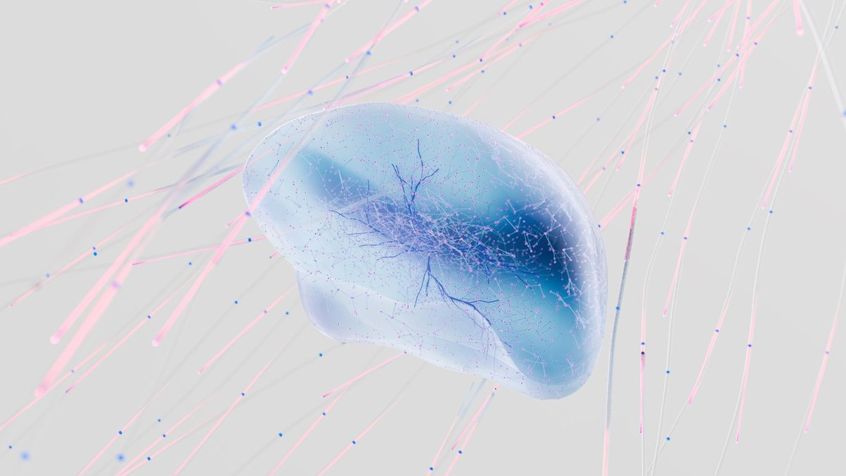 Biohybrid Computing: 2024 Braille Organoid Milestone Revisited in 2026