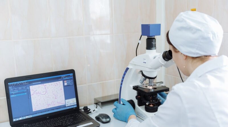 Biohybrid Breakthrough: Organoids 'Read' Braille, Paving Future Computing by 2026