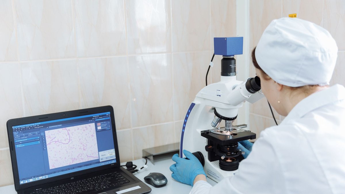 Biohybrid Breakthrough: Organoids 'Read' Braille, Paving Future Computing by 2026